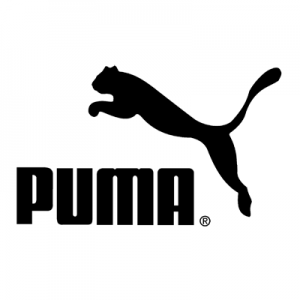 felin-puma